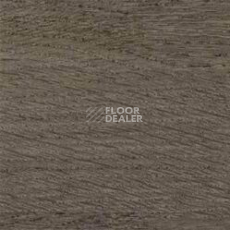 Линолеум Gerflor Taralay Initial Comfort 0069 Wood Noisette фото 1 | FLOORDEALER